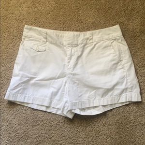 LOFT White Shorts SZ 6